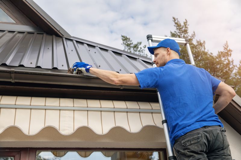 Cleaning Roof Gutters