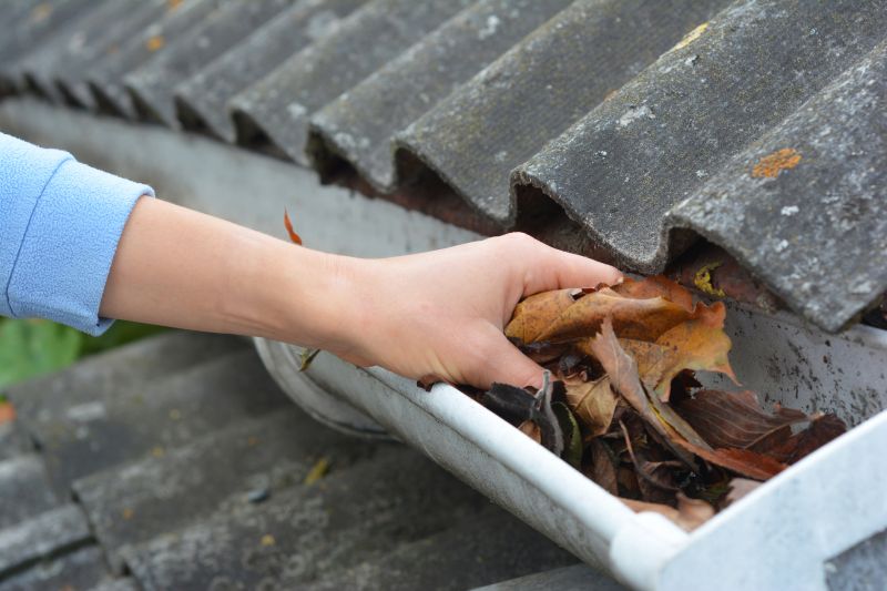 Leaf Gutter Cleaning