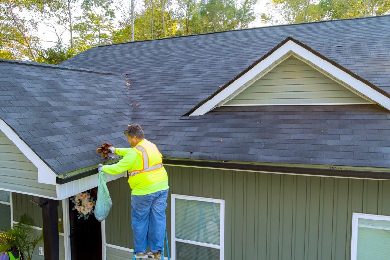 Specialized Gutter Cleaning Companies