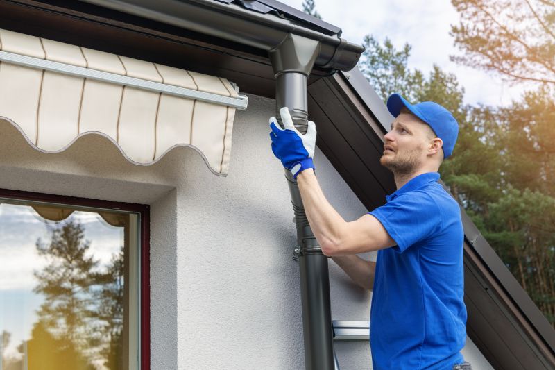Handyman Services Offering Gutter Cleaning