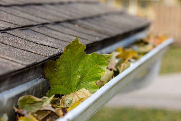 Cost of Gutter System Cleaning in Franklin