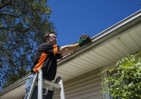 Cost of Building Gutter Cleaning in Franklin